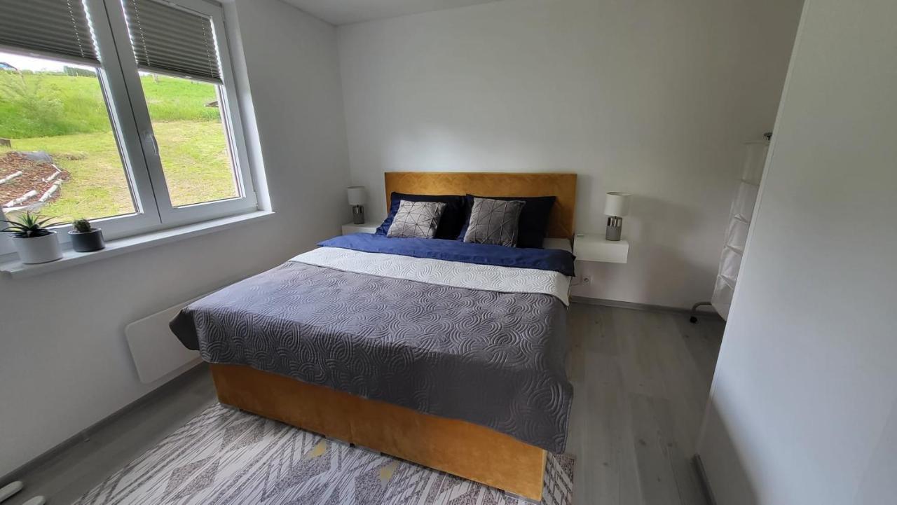 Apartman S Bazenem A Saunou Kadaň Buitenkant foto