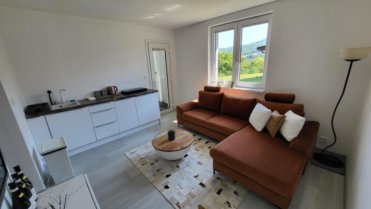 Apartman S Bazenem A Saunou Kadaň Buitenkant foto