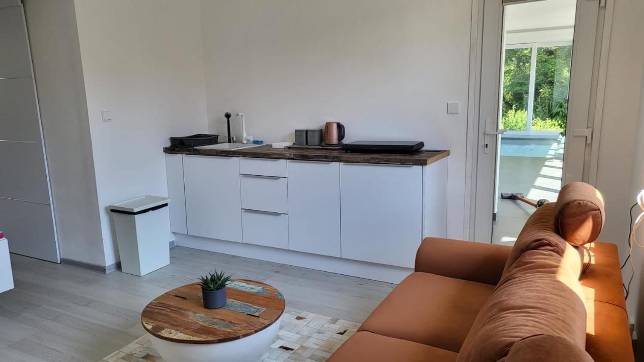 Apartman S Bazenem A Saunou Kadaň Buitenkant foto